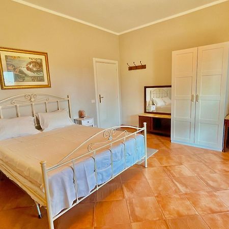 Ciggiano B&B Terre Toscane מראה חיצוני תמונה