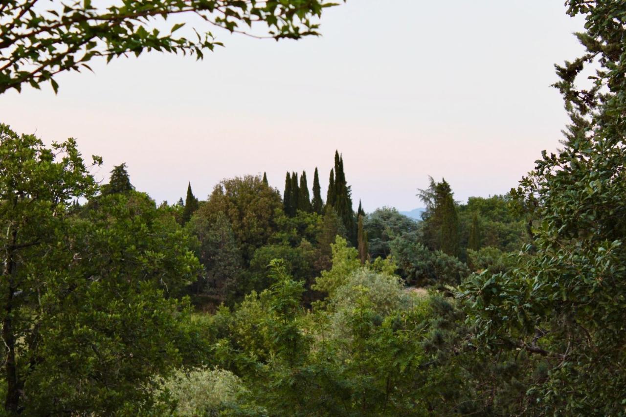 Ciggiano B&B Terre Toscane מראה חיצוני תמונה