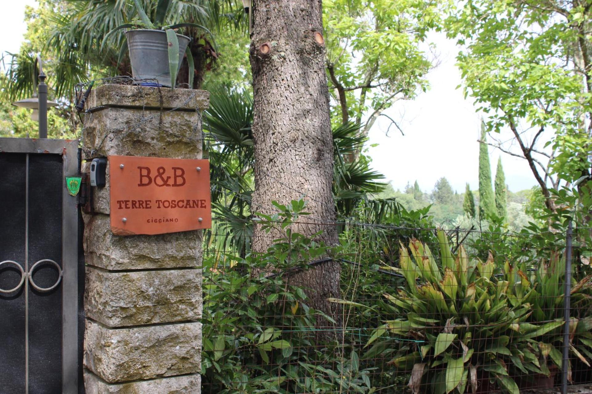 Ciggiano B&B Terre Toscane מראה חיצוני תמונה