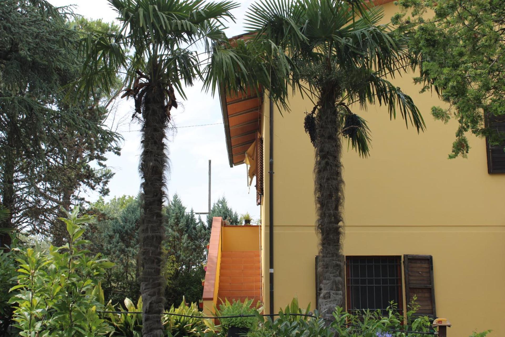 Ciggiano B&B Terre Toscane מראה חיצוני תמונה